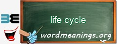 WordMeaning blackboard for life cycle